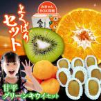 旬の果物のセット 甘平とグリーンキウイのセット