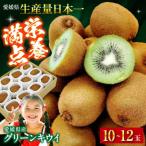 グリーンキウイ 10玉-12玉入