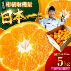 温州みかん 5kg