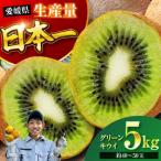 生産量日本一 グリーンキウイ 5kg