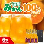 温州みかん 100%ストレートジュース 720ml×6本