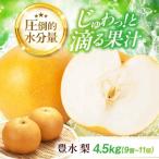 みずみずしくてジューシー 特選 豊水 梨4.5kg