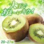 キウイフルーツ L-3L 20個-27個入