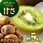 キウイ 5kg