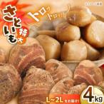 大洲産トロトロさといも L-2L 4kg