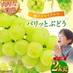 瀬戸ジャイアンツ2kg 3-5房