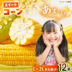 あま-いスイートコーン L-2L 12本