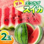 愛情つまったエコラブスイカ Lサイズ 2玉