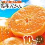 瀬戸内のめぐみ 温州みかん S~Lサイズ 10kg