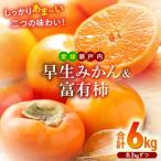 早生みかん+富有柿 各3kg