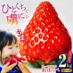 紅ほっぺ M-3L 約2kg