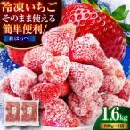 いちご 紅ほっぺ 800g×2パックセット