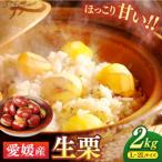 秋深まる味覚の宝 生栗2kg L-2L