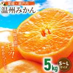 瀬戸内のめぐみ 温州みかん S~L 5kg