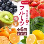 フルーツ定期便 定期便