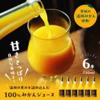 温州みかん 100%ストレートジュース 720ml×6本