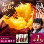 やきいも 熟成紅はるか 焼き芋 1kg