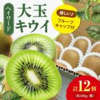 キウイフルーツ 特大 5L