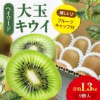 キウイフルーツ 大玉 3L-4L 9個