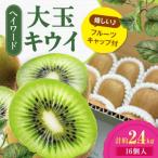 キウイフルーツ大玉 3L-4L 16個