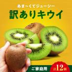 キウイフルーツ ヘイワード 10個