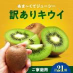 キウイフルーツ ヘイワード 18個