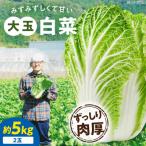 白菜 3L×2玉