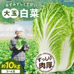 白菜 3L×3-4玉