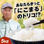 新米 お米 5kg