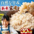 玄米 30kg