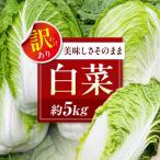 訳あり白菜 約5kg
