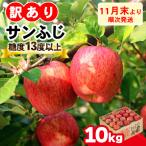 りんご サンふじ 10kg
