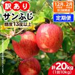 りんご サンふじ 10kg