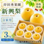 岸田秀果園 新興 自家用3kg