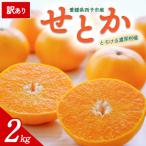 <訳あり せとか 約2kg>ミヤモトオレンジガーデン