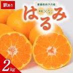 <訳あり はるみ 約2kg>ミヤモトオレンジガーデン