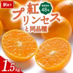 <訳あり 愛媛果試48号 1.5kg>紅プリンセスと同品種