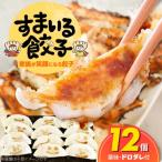 お試し すまいる餃子 12個