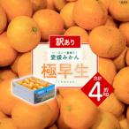 <訳あり 極早生みかん 合計約4kg>
