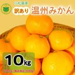 訳あり 温州みかん 10kg