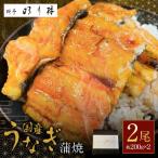 うなぎの蒲焼 2尾