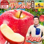 りんご サンふじ 約5kg