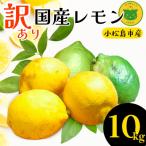 訳ありレモン10kg レモン 檸檬 れもん