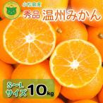 みかん 秀品 温州みかん 5kg