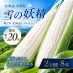 とうもろこし 雪の妖精 8本