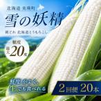 とうもろこし ほしつぶコーン 20本