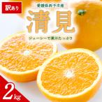 <訳あり 清見 合計約2kg>