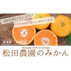 スタート 松田農園のみかん 約5kg