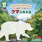 大崎市への寄付（返礼品なし）