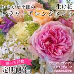 花 フラワーアレンジメント 定期便 3回 お花